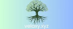 velaxy.xyz